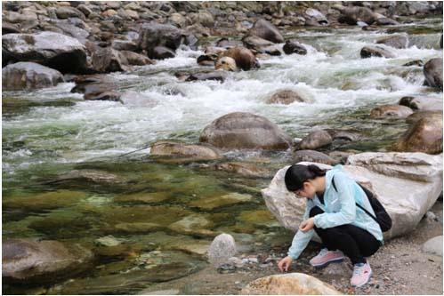 Z6·人生就是博(中国区)官方网站