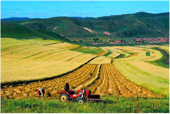 202012081651007952_248x166