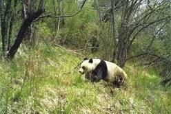 202012081656402171_248x166