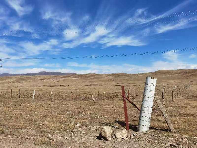 Z6·人生就是博(中国区)官方网站